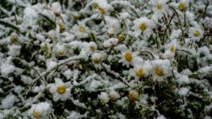 Καιρός: Ρεκόρ ψύχους για τον φετινό Μάρτιο