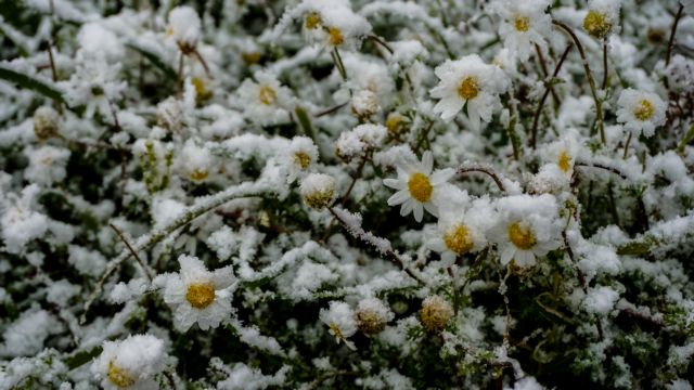 Καιρός: Ρεκόρ ψύχους για τον φετινό Μάρτιο