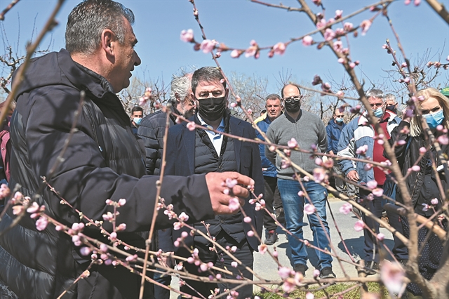 Από το Blitzkrieg στο Στάλινγκραντ