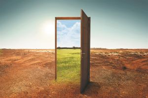 Η ποίηση τον καιρό της κλιματικής κρίσης