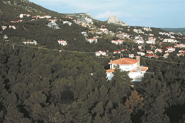 Οδηγός επιβίωσης για τους δασικούς χάρτες