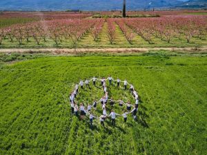 Βέροια: Φωτογράφιση για την ειρήνη στις ανθισμένες ροδακινιές της