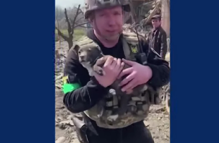 Κουτάβι ανασύρθηκε ζωντανό από τα συντρίμμια βομβαρδισμένου κτηρίου