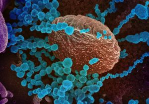 Κοροναϊός: Η νόσηση με Ομικρον δεν θωρακίζει τους ανεμβολίαστους απέναντι σε άλλες παραλλαγές