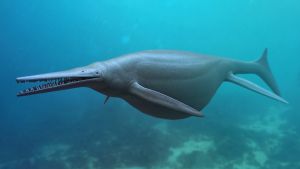 Προϊστορικά θαλάσσια τέρατα ανακαλύφθηκαν ψηλά στις Άλπεις