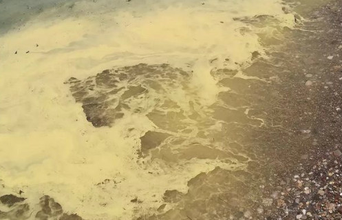 Πάτρα: Κιτρίνισε η θάλασσα στις παραλίες της πόλης