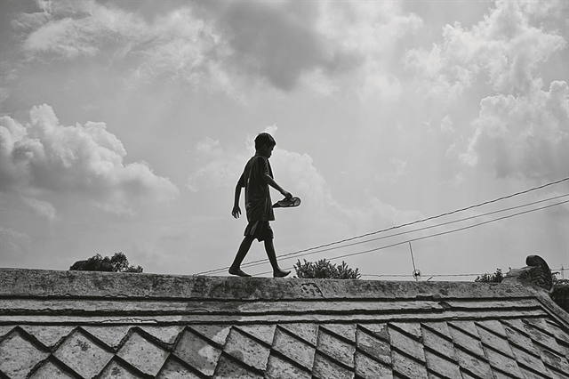 «Μεταναστεύουν τα γυμνά κλαδιά απ’ τις κορφές των δέντρων»