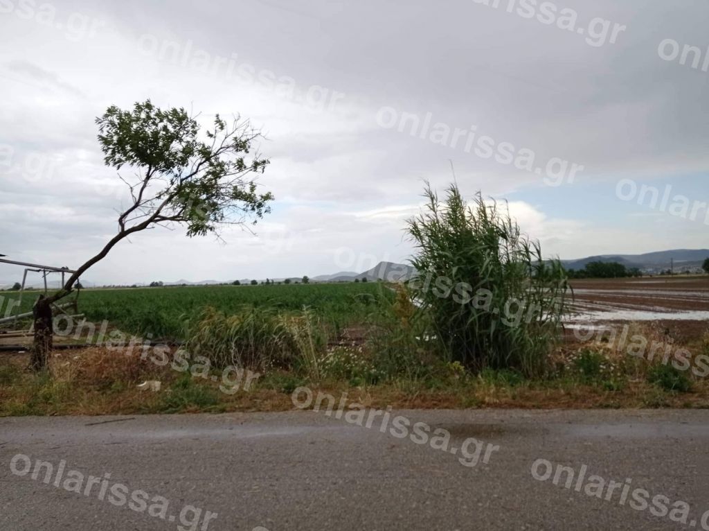 Χαλαζόπτωση ισοπέδωσε χιλιάδες στρέμματα