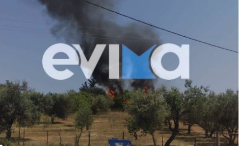 Εύβοια: Φωτιά σε δασική έκταση κοντά στην Ερέτρια