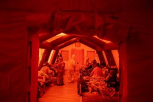 Παγώνη: Επιθετικός μύκητας ο Candida Auris – Σκοτώνει 6 στους 10