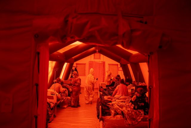 Παγώνη: Επιθετικός μύκητας ο Candida Auris – Σκοτώνει 6 στους 10