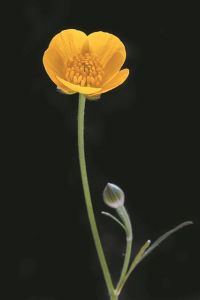 Φωτογραφικό αφιέρωμα του Σπ. Κοτζάμπαση