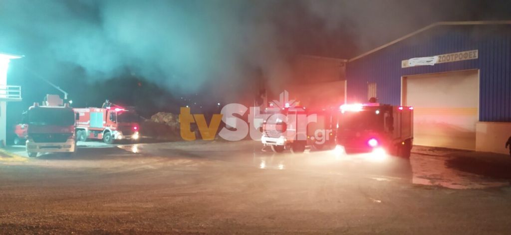 Βοιωτία: Μεγάλη φωτιά σε αποθήκη με ζωοτροφές στην Αλίαρτο