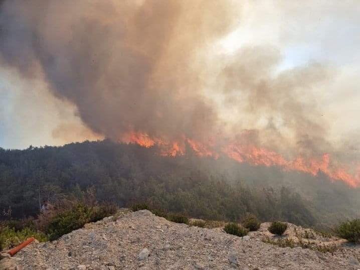 Φωτιά: Πυρκαγιά σε δασική έκταση
