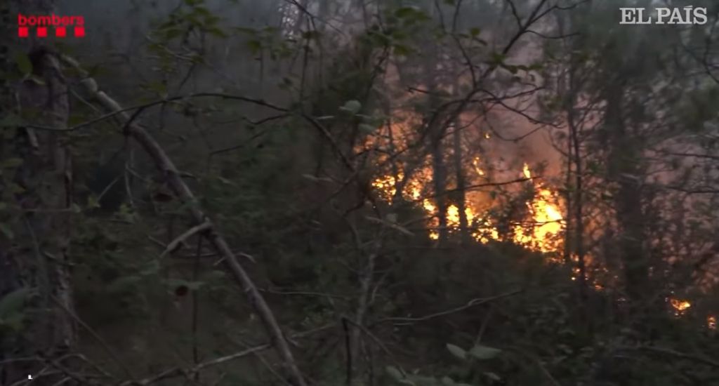 Ισπανία: Στις φλόγες χιλιάδες στρέμματα δάσους εν μέσω καύσωνα