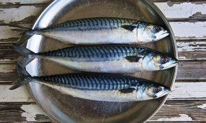 Πώς συνδέεται η κατανάλωση ψαριού και γαλακτοκομικών με τον καρκίνο