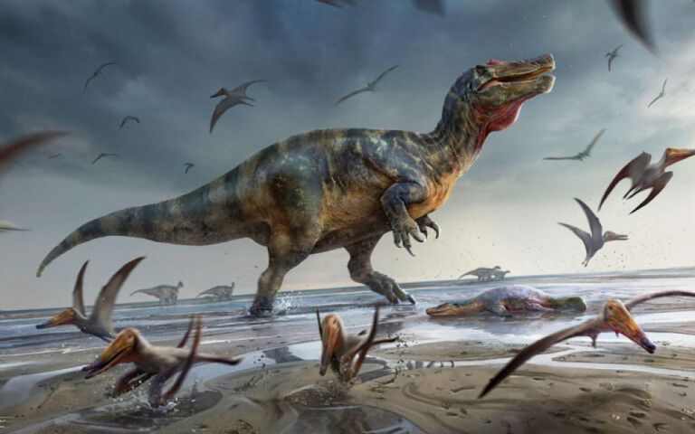 Βρέθηκε ο μεγαλύτερος δεινόσαυρος στην Ευρώπη | tanea.gr