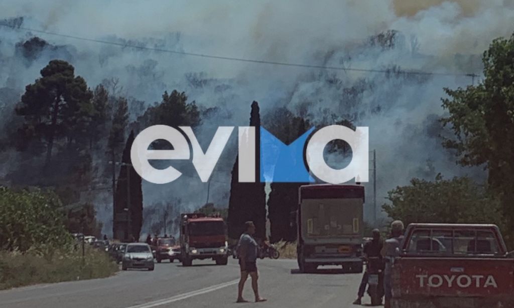 Φωτιά στην Εύβοια: Καίγεται δασική έκταση στο Αλιβέρι