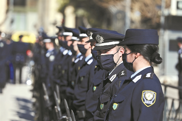 Γατάκια και σκούπες