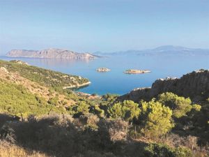 Προσγειώνονται… κατά δεκάδες στην Κιβωτό