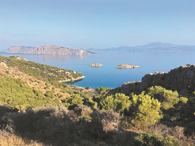 Προσγειώνονται… κατά δεκάδες στην Κιβωτό