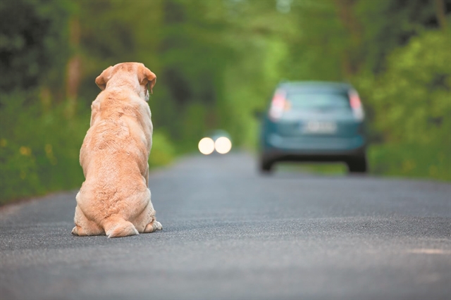 Ποιες λύσεις θα δίνει η Ειδική Γραμματεία