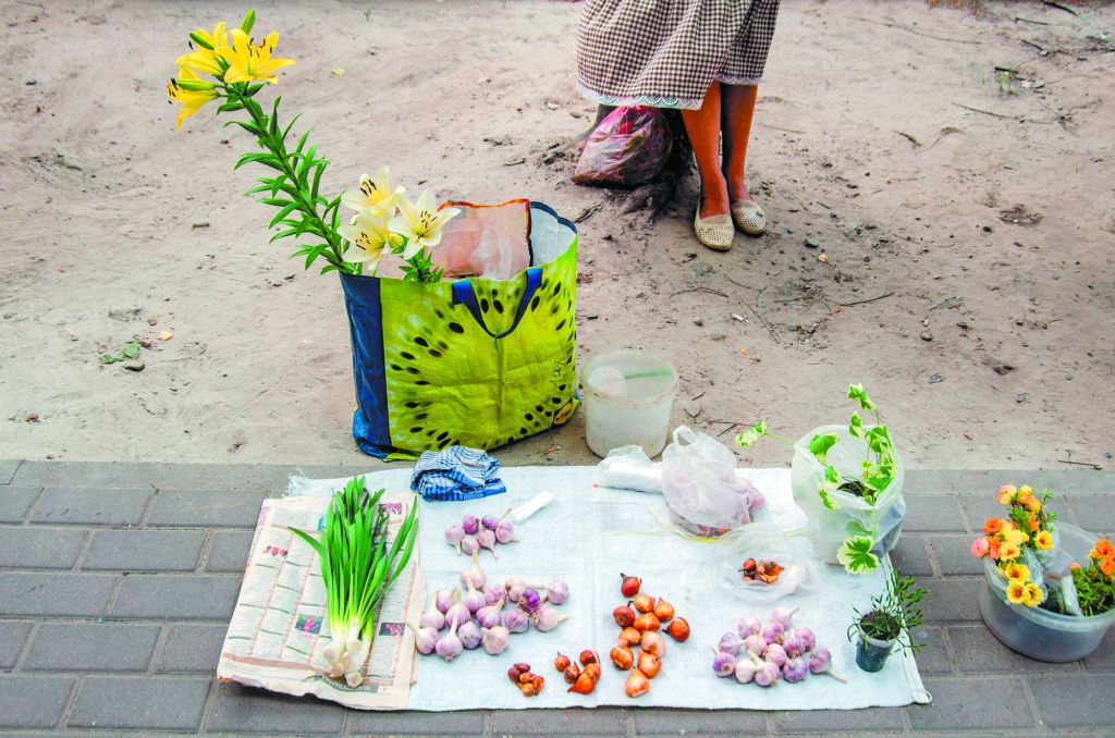 Το κόκκινο Πανεπιστήμιο