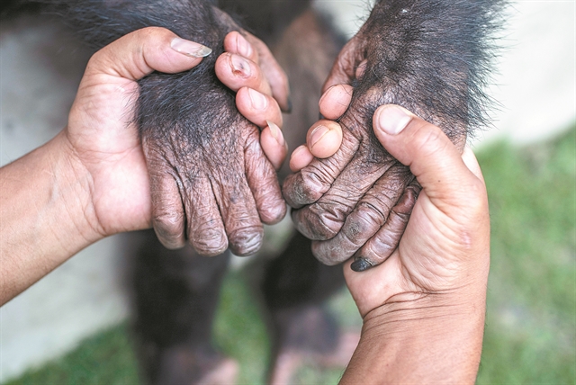 Η αποδόμηση ενός γκουρού