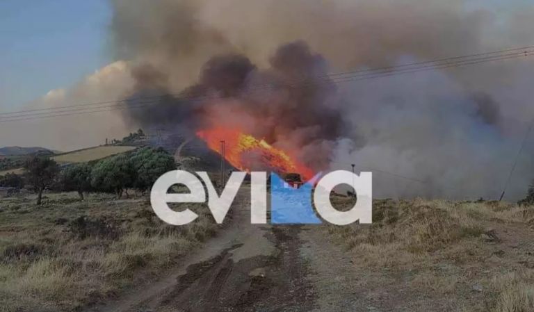 Μεγάλη φωτιά στην Κάρυστο – Πνέουν ισχυροί άνεμοι | tanea.gr