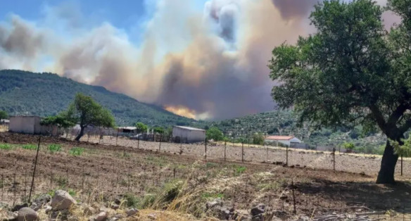 Λέσβος: Φωτιά στα Λιβάδια – Συναγερμός στην Πυροσβεστική