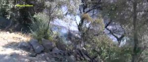 Φωτιά στο Πόρτο Γερμενό: Μηχανάκι έφυγε βιαστικά τη στιγμή που ξέσπασε η φωτιά