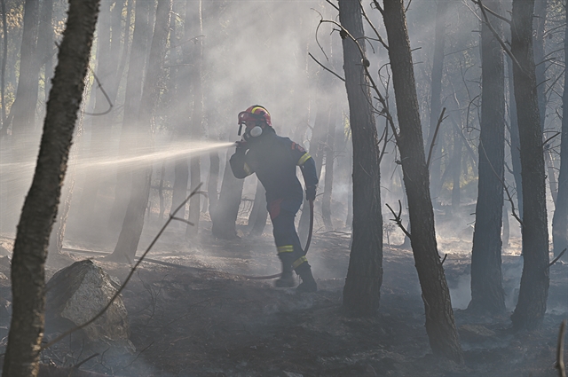 Μάχη με τις φλόγες σε 65 μέτωπα