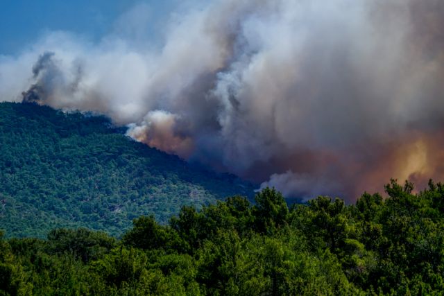 Χάθηκαν πάνω από 42.000 στρέμματα δάσους σε Δαδιά και Λέσβο – Λιγοστεύει επικίνδυνα το πράσινο στην Ελλάδα