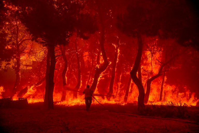 Λέσβος: Δραματικές στιγμές – Εικόνες Αποκάλυψης από τη μεγάλη φωτιά | tanea.gr