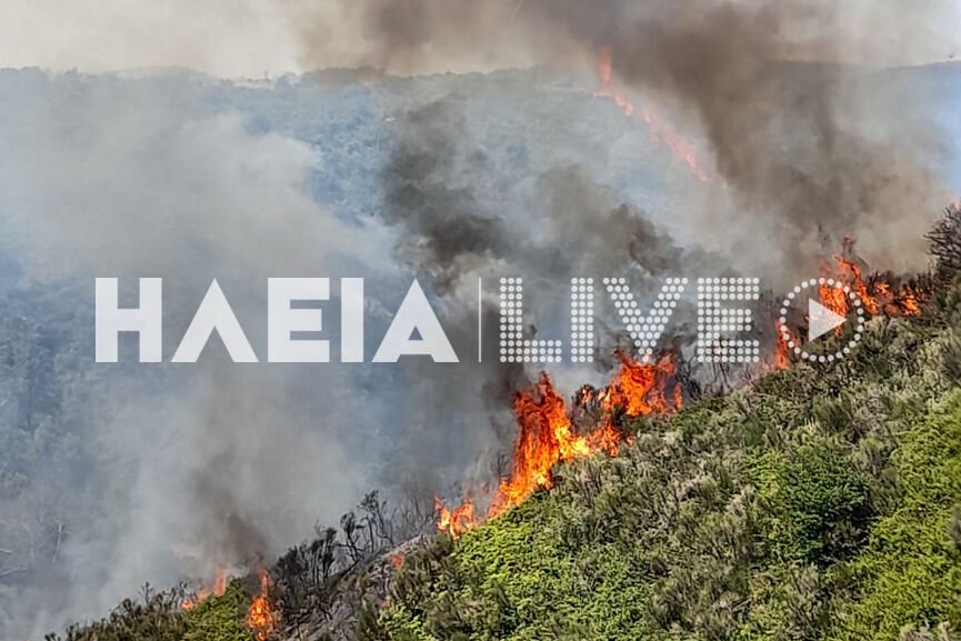 Φωτιά στην Ηλεία: Τραυματίστηκε πυροσβέστης – Εχει υποστεί εγκαύματα