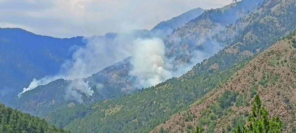 Γρεβενά: Στις φλόγες το παρθένο οικοσύστημα της Βάλια Κάλντα
