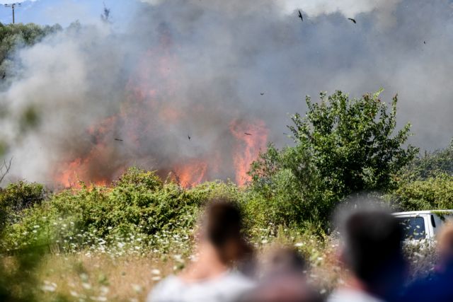 Φωτιές: Ανοιχτά μέτωπα σε Λακωνία, Σάμο και Αρτα