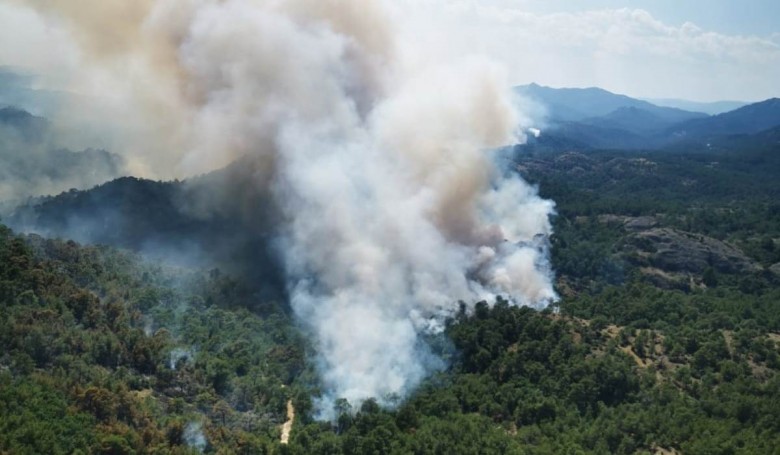 Αμυράς: Πάρα πολύ δύσκολη η έρπουσα φωτιά στη Δαδιά – Δεν έχει πειραχτεί το 30% της βλάστησης στο μέτωπο