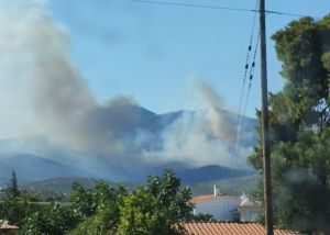 Φωτιά στο Νταού Πεντέλης: Μήνυμα του 112