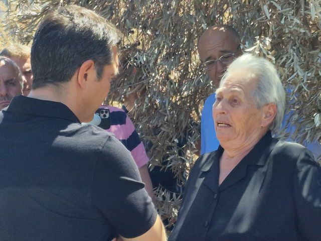 «Εγώ δεν θα ξαναμαζέψω ελιές από αυτά τα δέντρα»