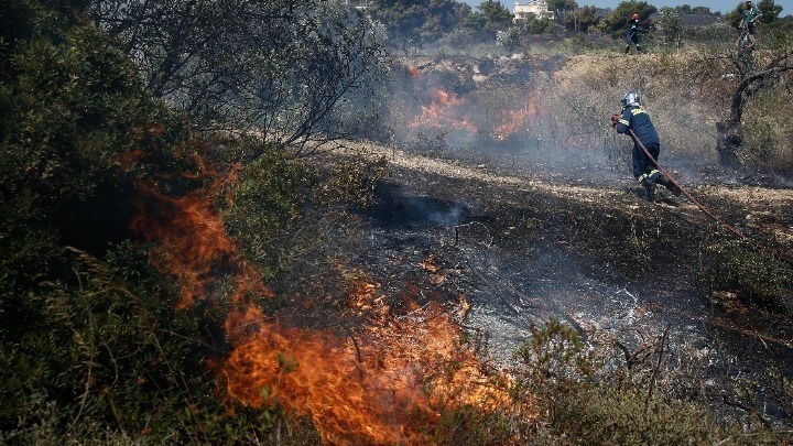 Φωτιές: Μάχη με τις φλόγες στο δάσος της Δαδιάς, σηκώθηκαν εναέρια μέσα