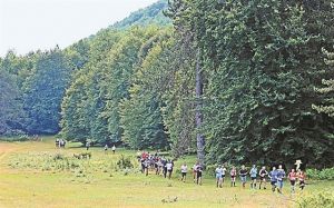 Στο καταπράσινο… Ξηρολίβαδο