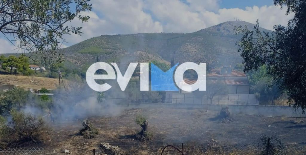 Φωτιά στην Εύβοια: Κοντά σε σπίτια οι φλόγες στην Ερέτρια