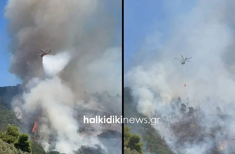 Μάχη με τις φλόγες σε δύσβατη περιοχή στο Αγιο Ορος