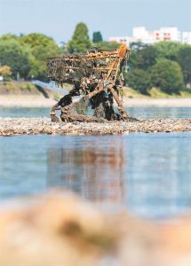 Το δίλημμα της αποανάπτυξης