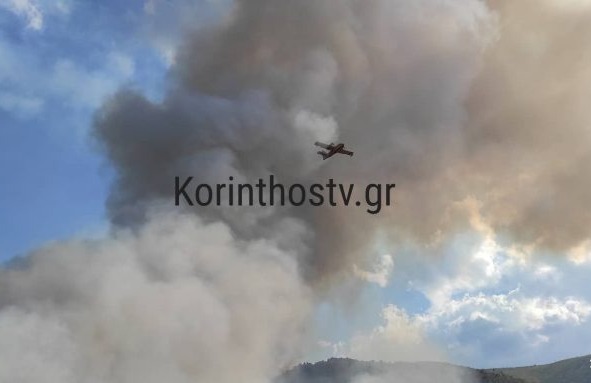 Πυρκαγιά σε δασική έκταση στην περιοχή Κατακάλι