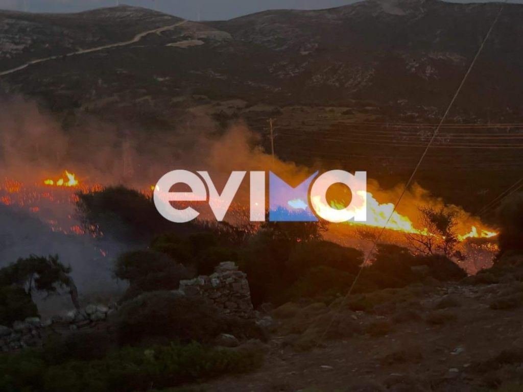Φωτιά στην Εύβοια – Πυρκαγιά ξέσπασε στους Ραπταίους