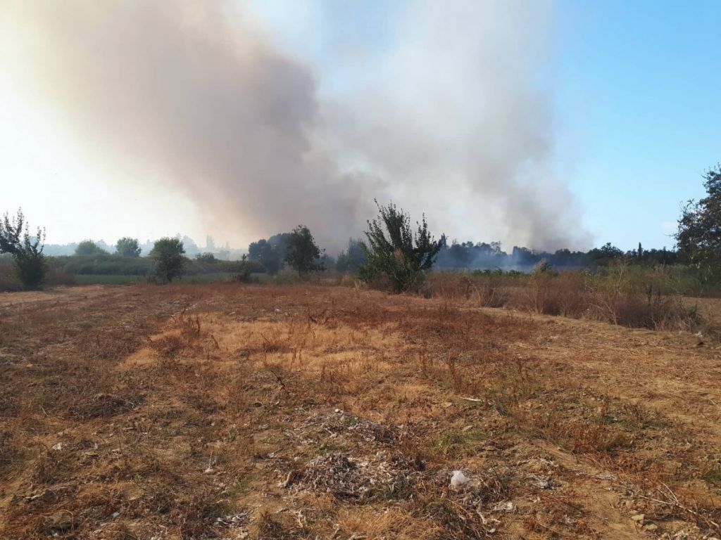 Φωτιά στη Κέρκυρα κοντά στη Λευκίμμη