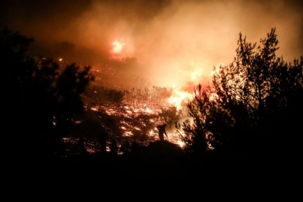 Πυρκαγιές: Πάνω από 130.000 στρέμματα δάσους κάηκαν τον Ιούλιο