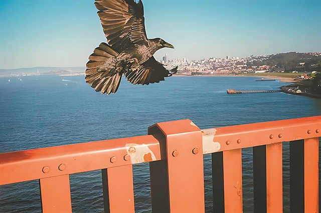 Ο γνωστός άγνωστος πλανήτης μας